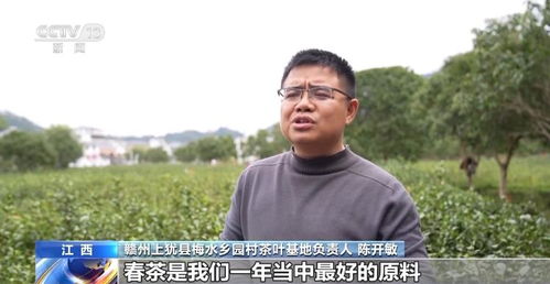 尋味地圖上新 春鮮消費撬動文旅熱潮